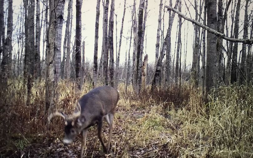 18 trail cam on property