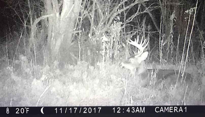 19 trail cam on property