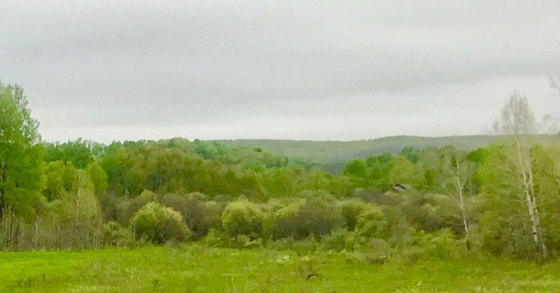 29 pine river valley view