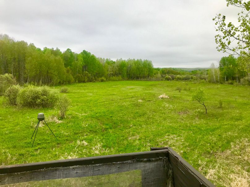 89 back blind and plot