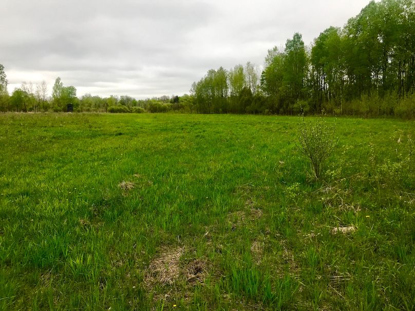 80 back plot and blind