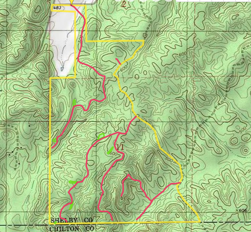 Screen shot 2019-07-29 at 9.29.04 pm-2