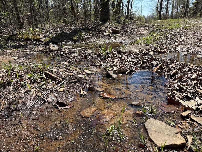 DJI_20260408_135905_833