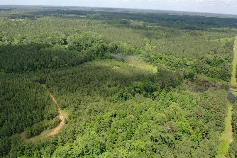 Screen 818a548a084095e4 1622145819371