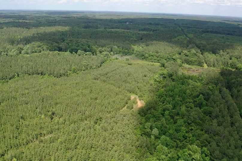 Screen 3df8db4ecf176a47 1622145715358