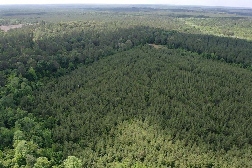 Screen b77c033123fa8d4e 1622145823843