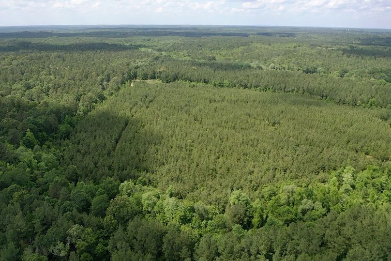 Screen e9f172be28cfe4ec 1622145769234