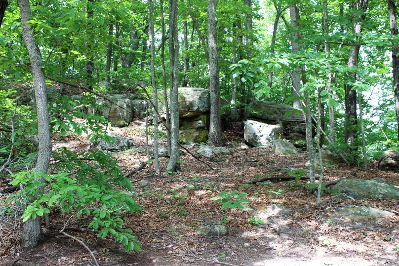 015 rock outcroppings near the northeast boundary