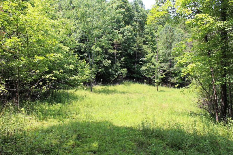 023 small field area in the northwestern portion of the property, perfect for a food plot