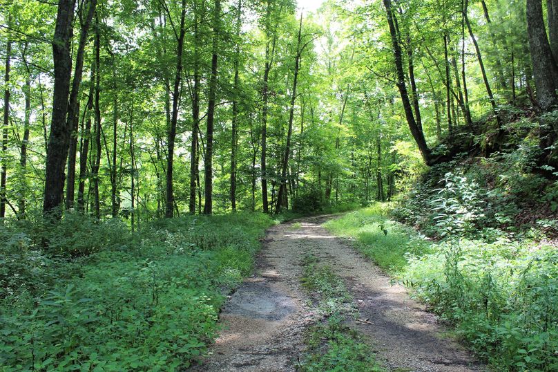003 great network of roads leading through much of the property