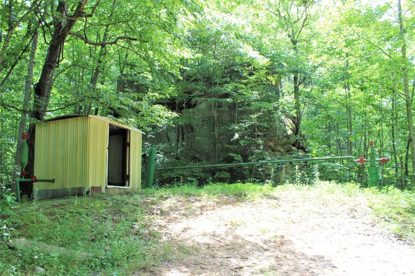 005 one of the two active gas wells on the property