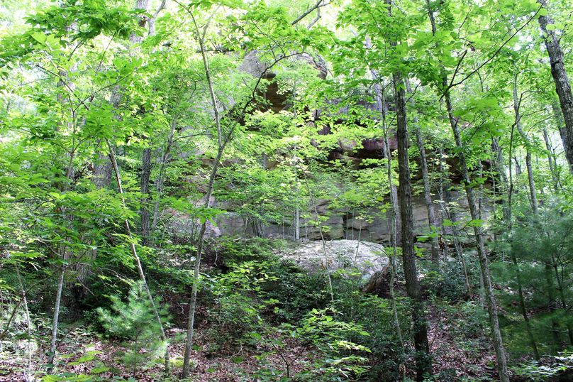 009 one of the most impressive rock faces i ve seen on any property in eastern kentucky