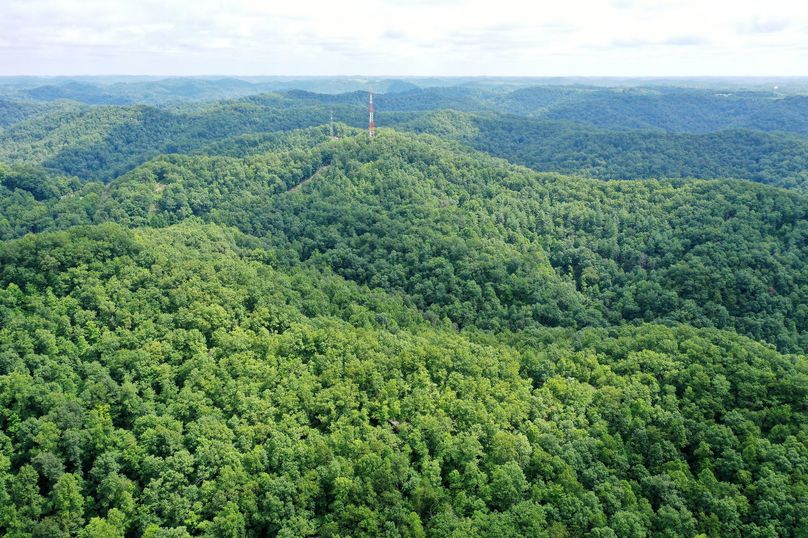 012 drone shot of the landscape from the center of the property looking north