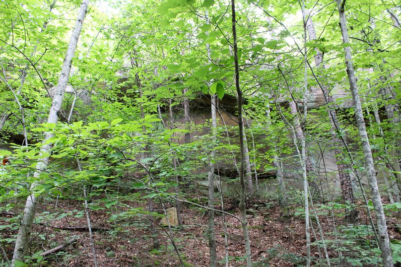 017 long stretching rock outcropping cliffs near the center of the property