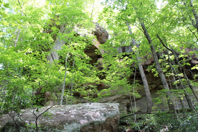027 huge, towering rock overhang near the center of the property