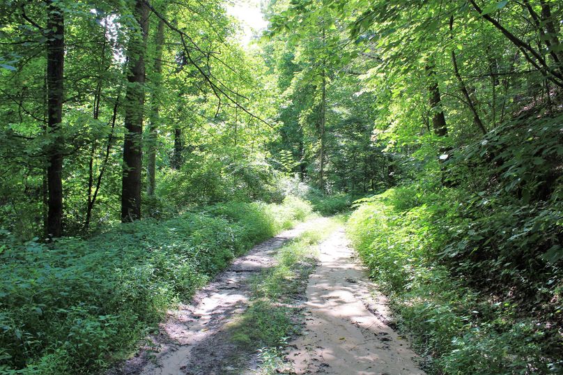024 well kept gas well road providing easy travels throughout much of the property