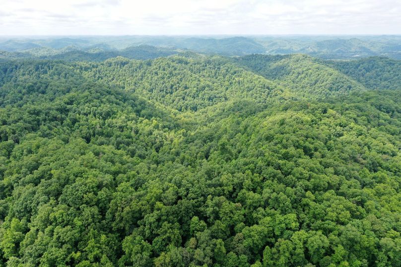 029 drone shot from the center of the property looking to the southwest
