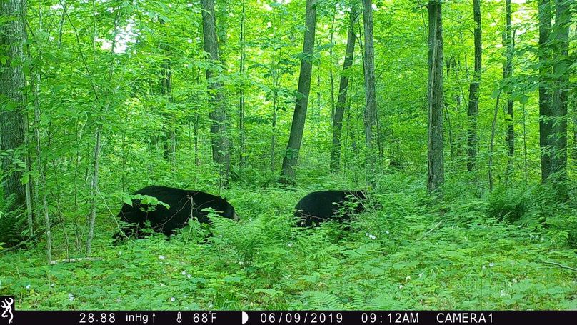 2019-06-09big bear 09.12.21