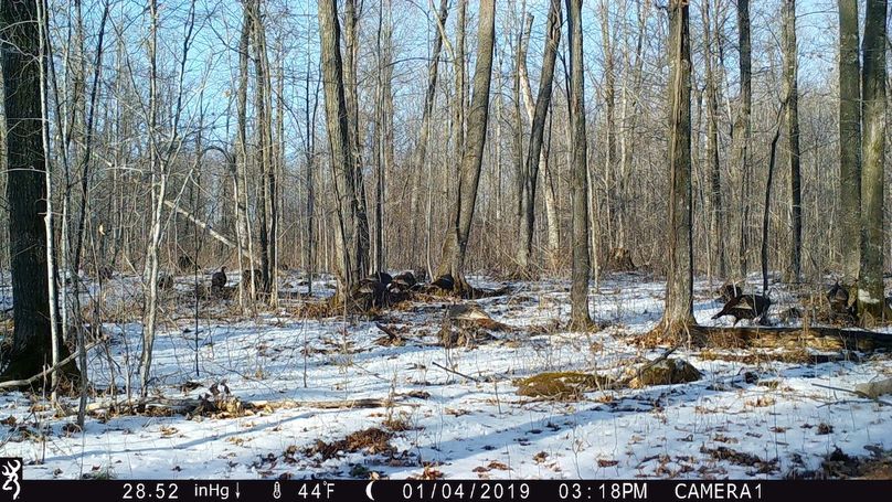 2019-01-04turkey 15.18.29