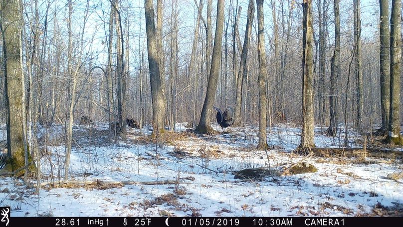 2019-01-05 turkey10.30.24