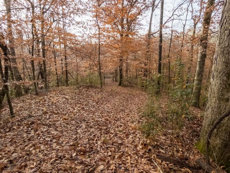 Claiborne Co - 274 - Marian-082