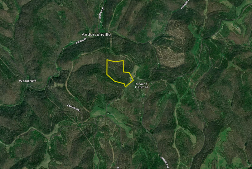 Screenshot 2026-02-05 at 1.38.17 PM