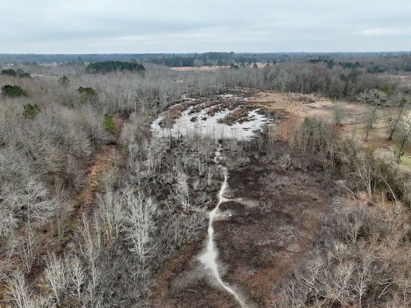 dji_fly_20260210_104304_255_1770738257865_photo