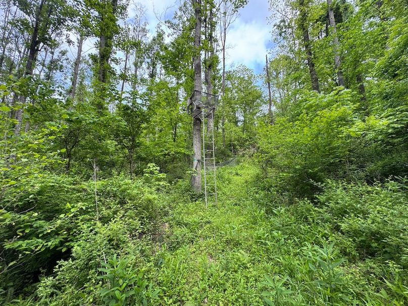 Pleasants, WV 168.59 AC Superior, Swank, Young-082