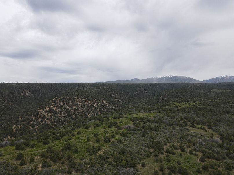 dji_export_1685968247977