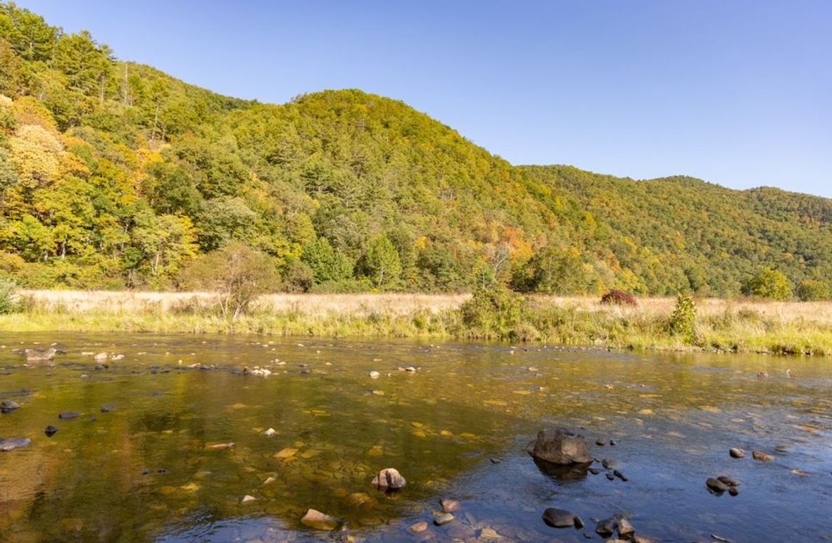 Copy of 146A2616 Large