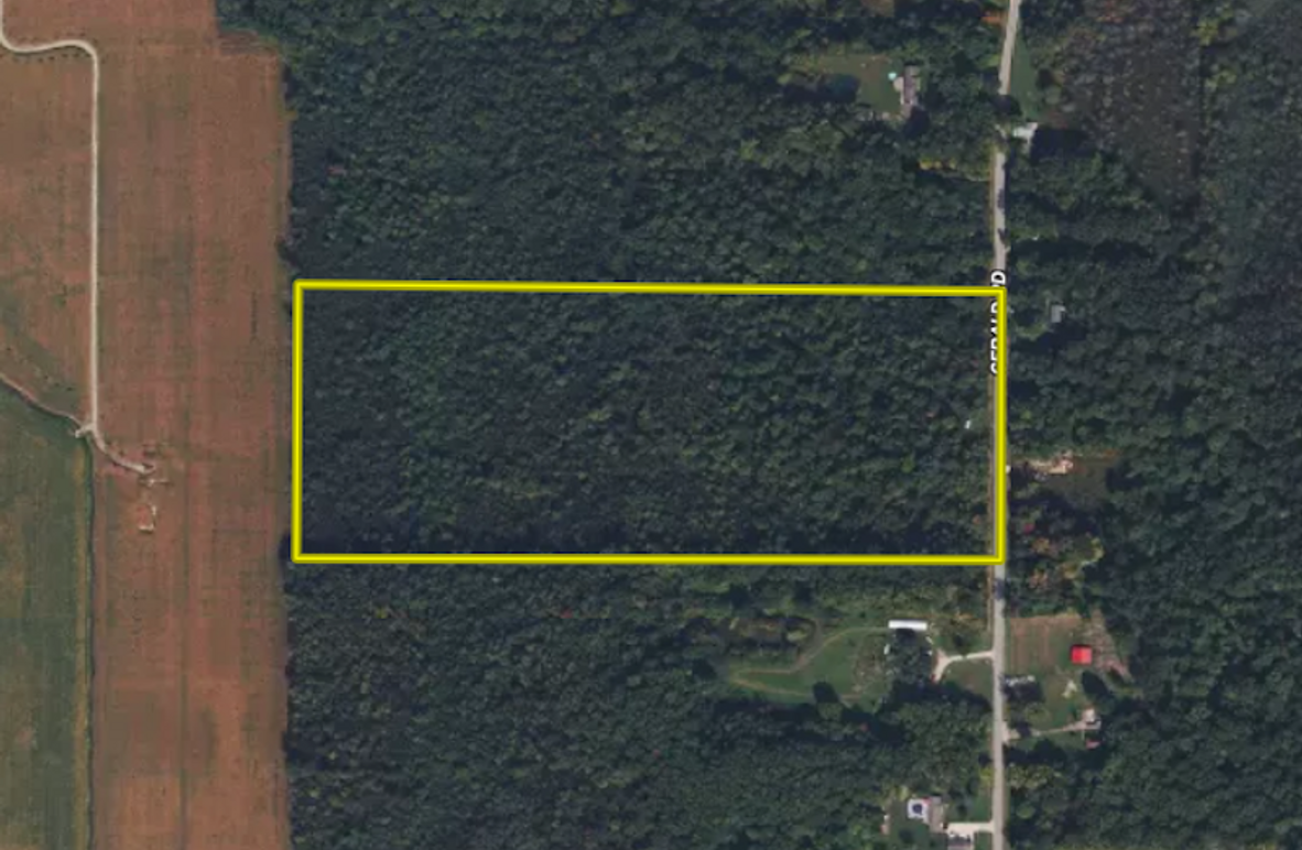 Screenshot 2025-03-11 at 10.15.26 AM