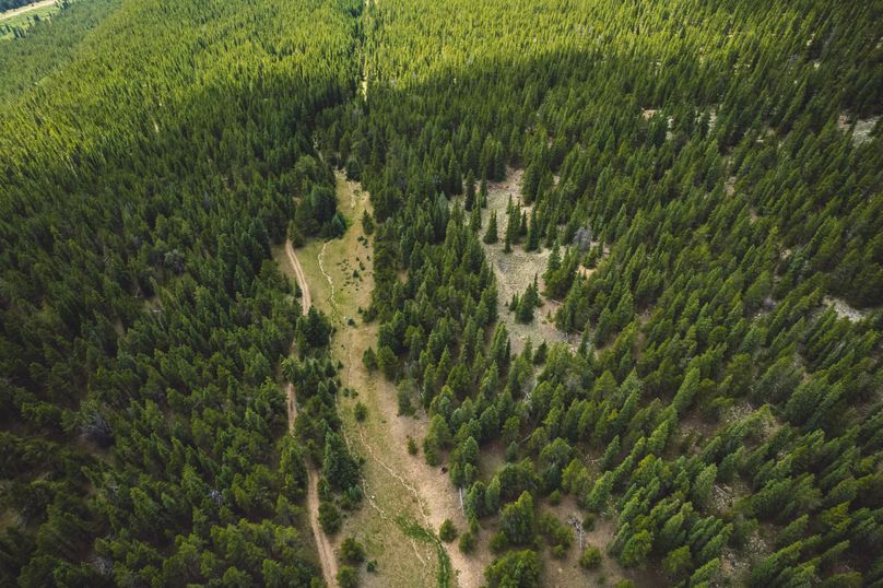 Lake CO 41.32 Nolan - 014 upper parcel road