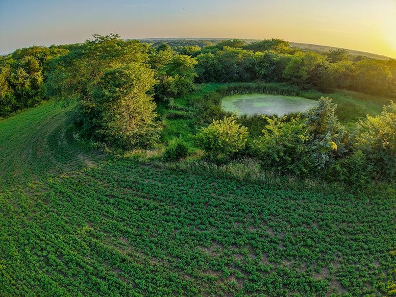 DJI_20250723200421_0402_D