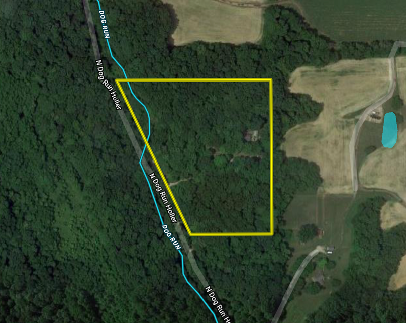 Screen shot 2019-08-19 at 9.22.32 am