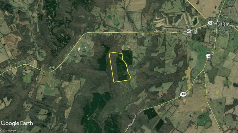 Livingston 119.62 airplane