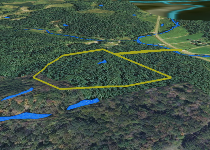 Screen shot 2019-08-27 at 9.51.33 am