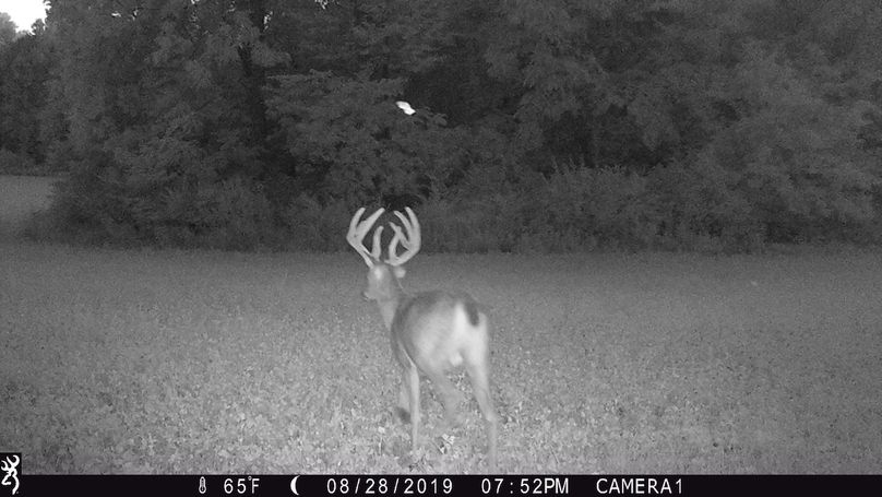 2019-08-28 19-52-32 001