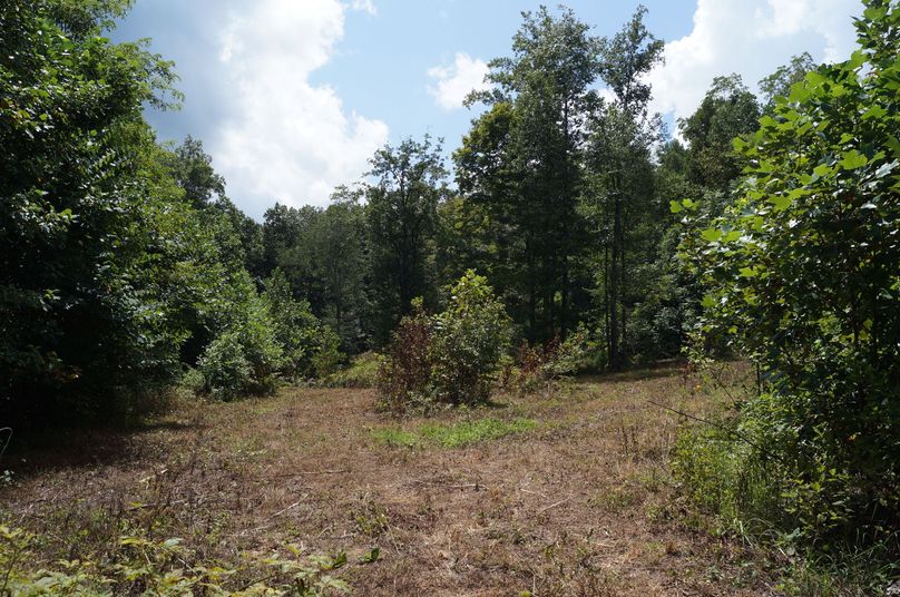 27.open area for planting food plots
