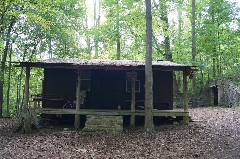 3.cabin 1