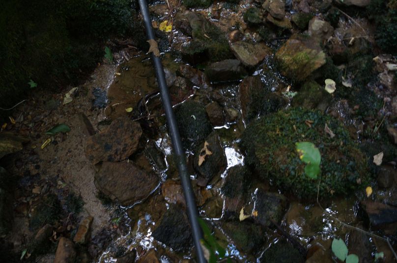 78.fresh water spring