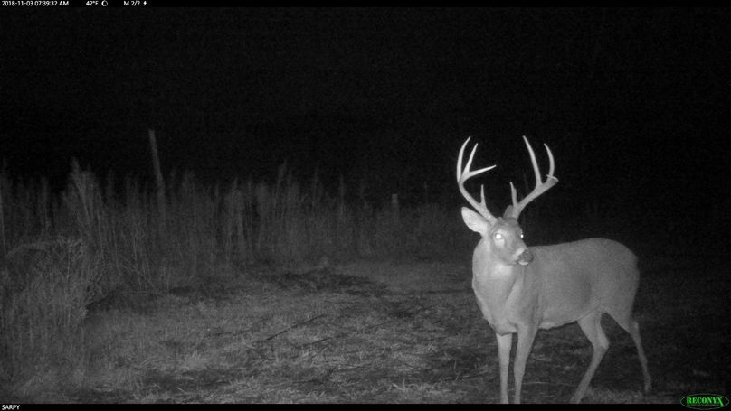 A4 (2560x1440) (1280x720)