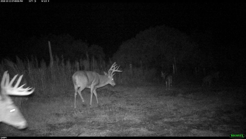 A7 (2560x1440) (1280x720)