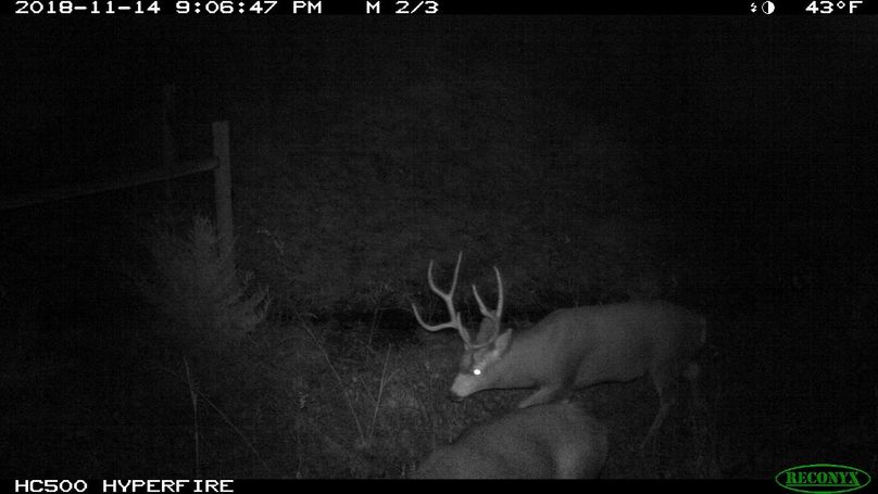 A8 (1920x1080) (1280x720)