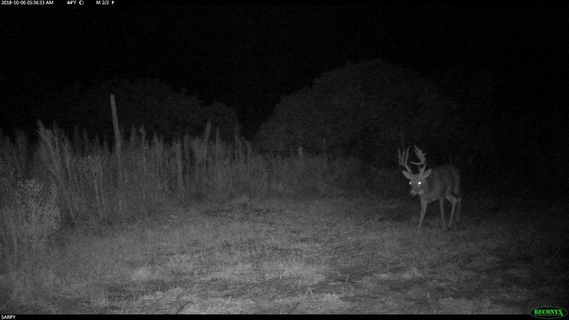 Copy of rcnx0134 (2560x1440) (1280x720)