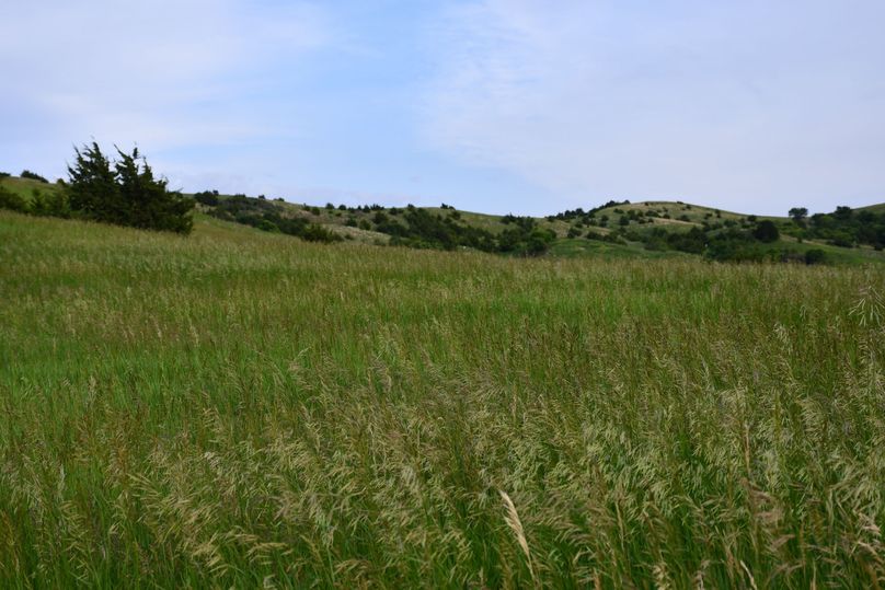 Dsc 0644 (2560x1707)