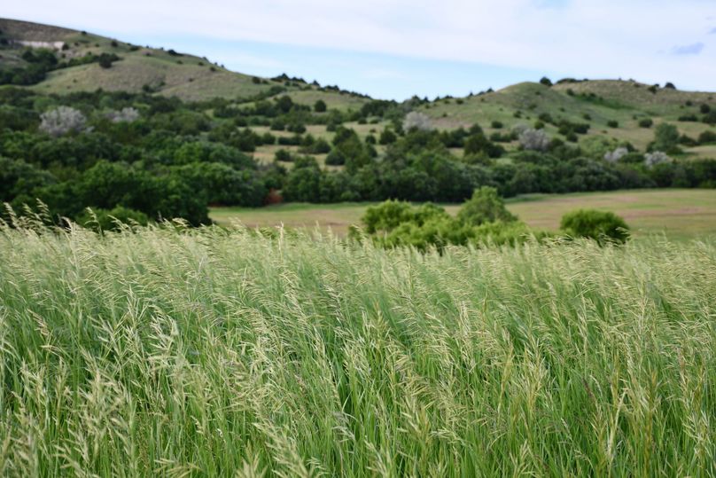 Dsc 0640 (2560x1707)