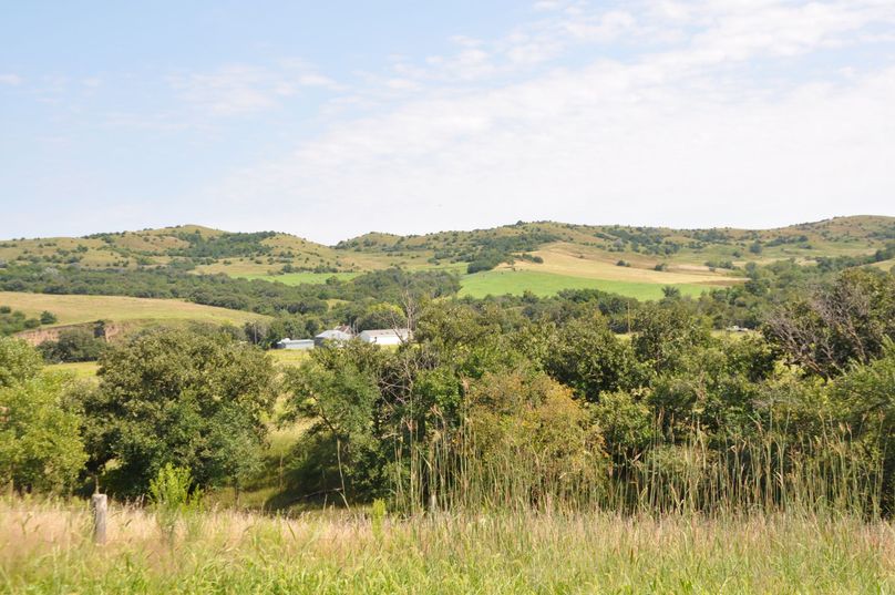 Dsc 0656 (2560x1700)