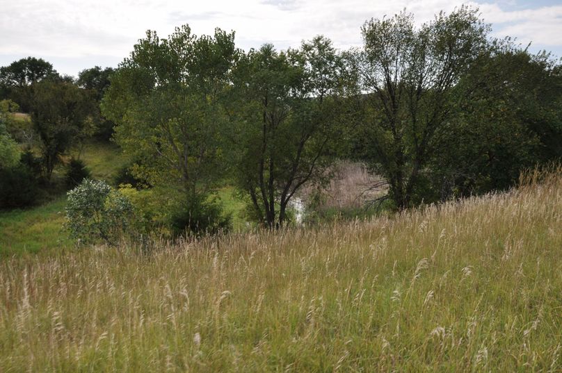 Dsc 0674 (2560x1700)