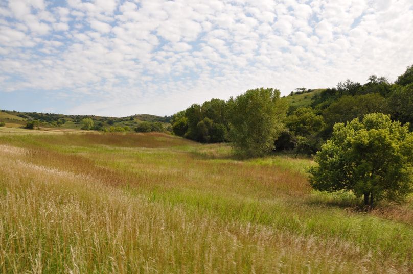 Dsc 0675 (2560x1700)