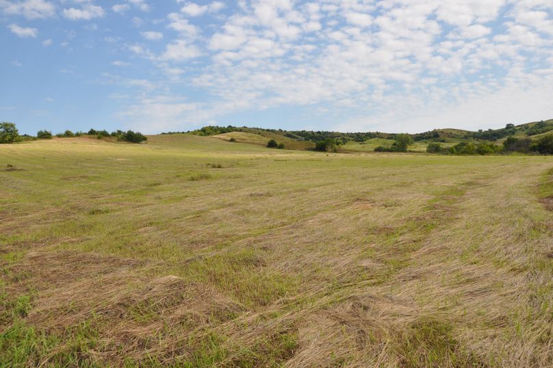 Dsc 0676 (2560x1700)